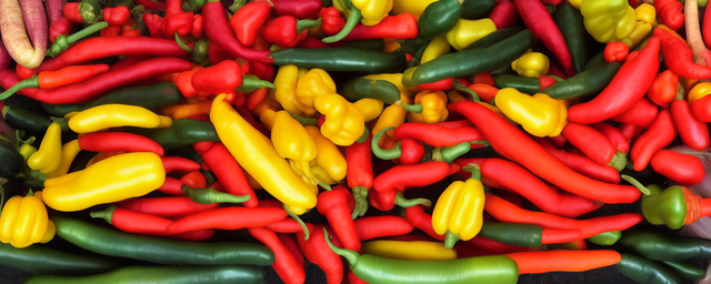 几月份采摘麻辣菜最佳