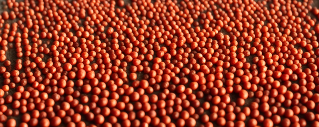 太原花椒几月份采摘