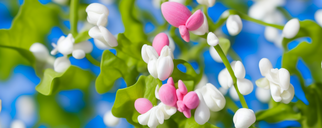 春天什么最旺盛补钙的食物 春天什么最旺盛补钙的食物