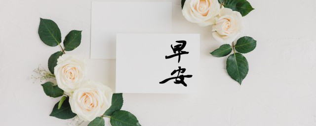 早上暖心短句有哪些 早上暖心短句精选