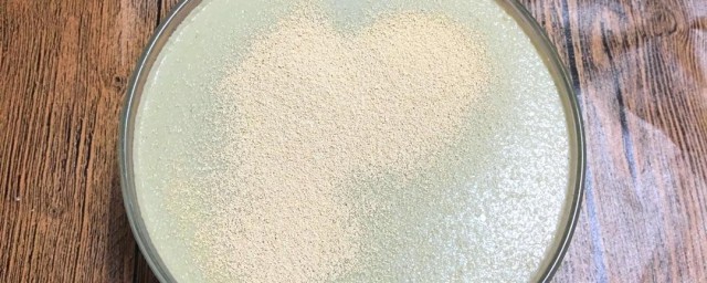 酵母的作用与功效 酵母的作用与功效是什么