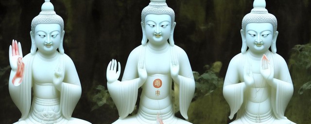 白玉菩提子如何辨别真假