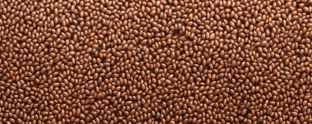 墨玉河红沁籽料