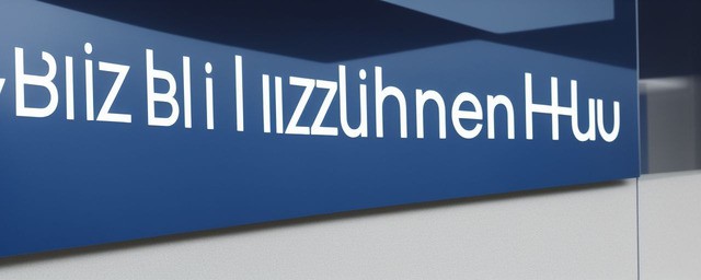 bizhub是什么牌子