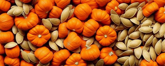 南瓜子吃了有什么好处