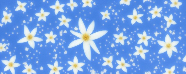 日本蓝星花花语