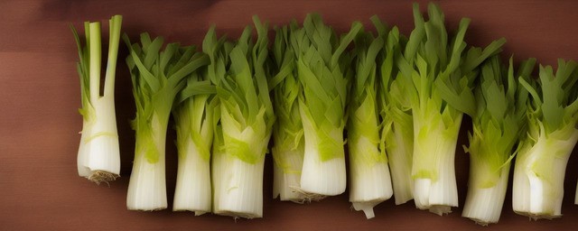 韭菜不能和什么一起炒