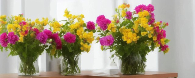 家里什么时间开花最旺财