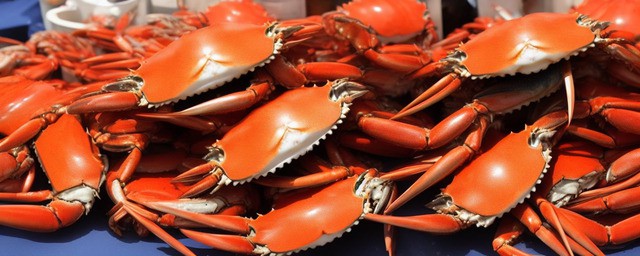 青蟹跟什么不能一起吃