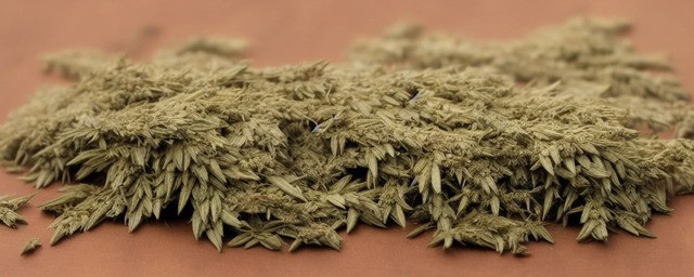 艾草不能跟什么一起吃