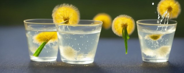 蒲公英搭配什么泡水喝