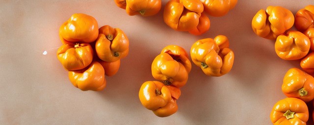 冻柿子不能和什么一起吃