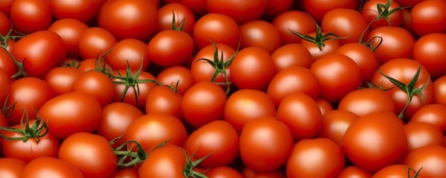 长期吃西红柿有什么危害