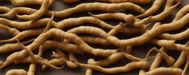 高丽参有什么功效