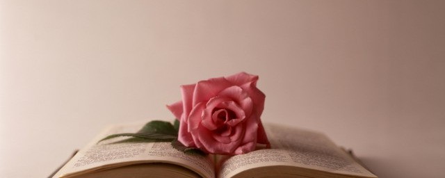 亡羊补牢歇后语