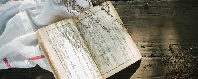 我的心爱之物作文400字