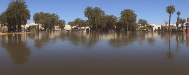 杜娟多久浇一次水