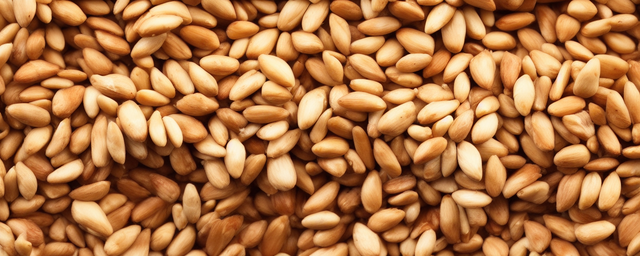 东北松子如何处理才能吃