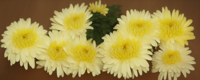 柠檬片和菊花能一起泡水喝吗