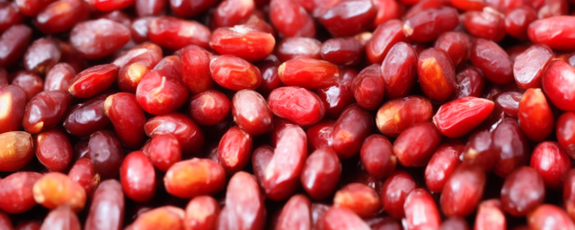 枸杞红枣泡水喝有什么作用