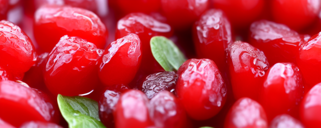 枸杞能和红枣一起泡水喝吗