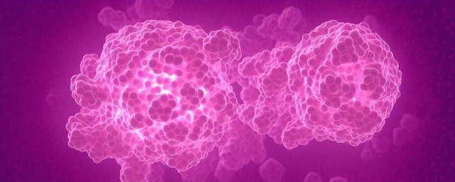 球蛋白偏低的危害