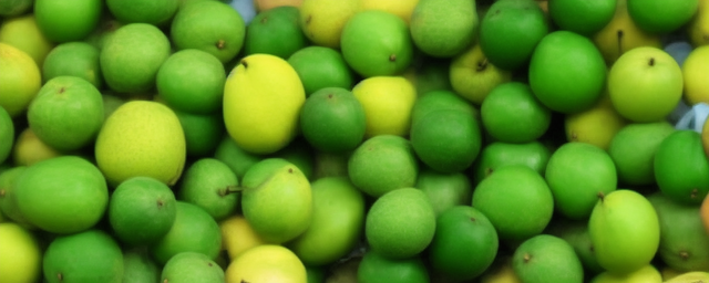 孕妇可以喝青果泡水吗